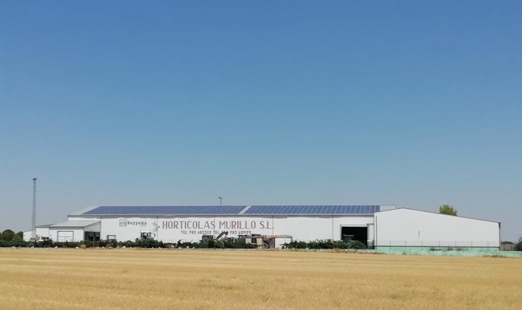 Horticolas Murillo, S. L.
