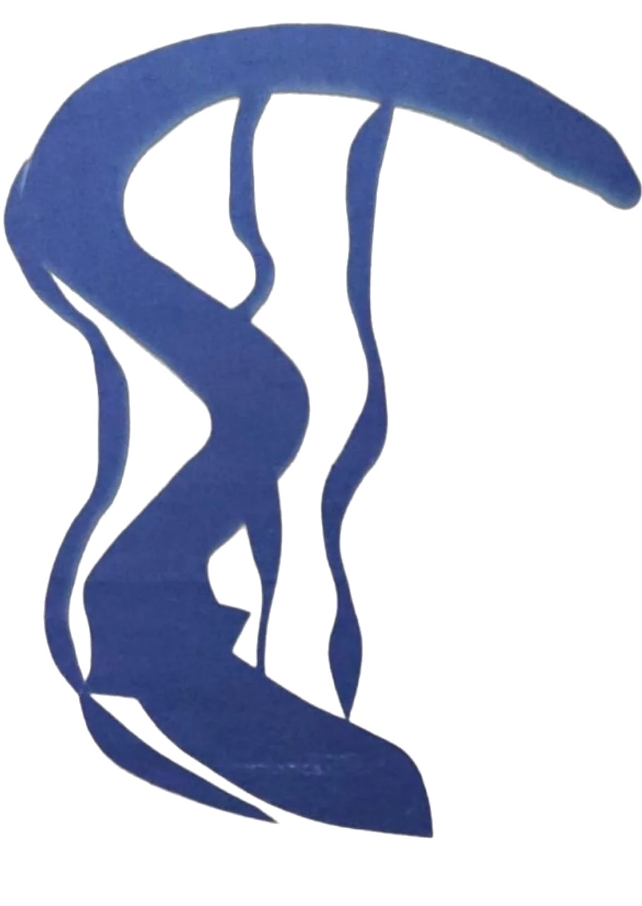 Pescados Ernesto Y Maria SLU