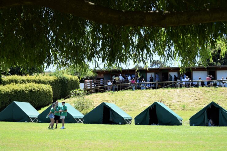 carpas-campamento