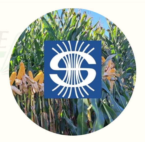 Caussade Semillas S.L