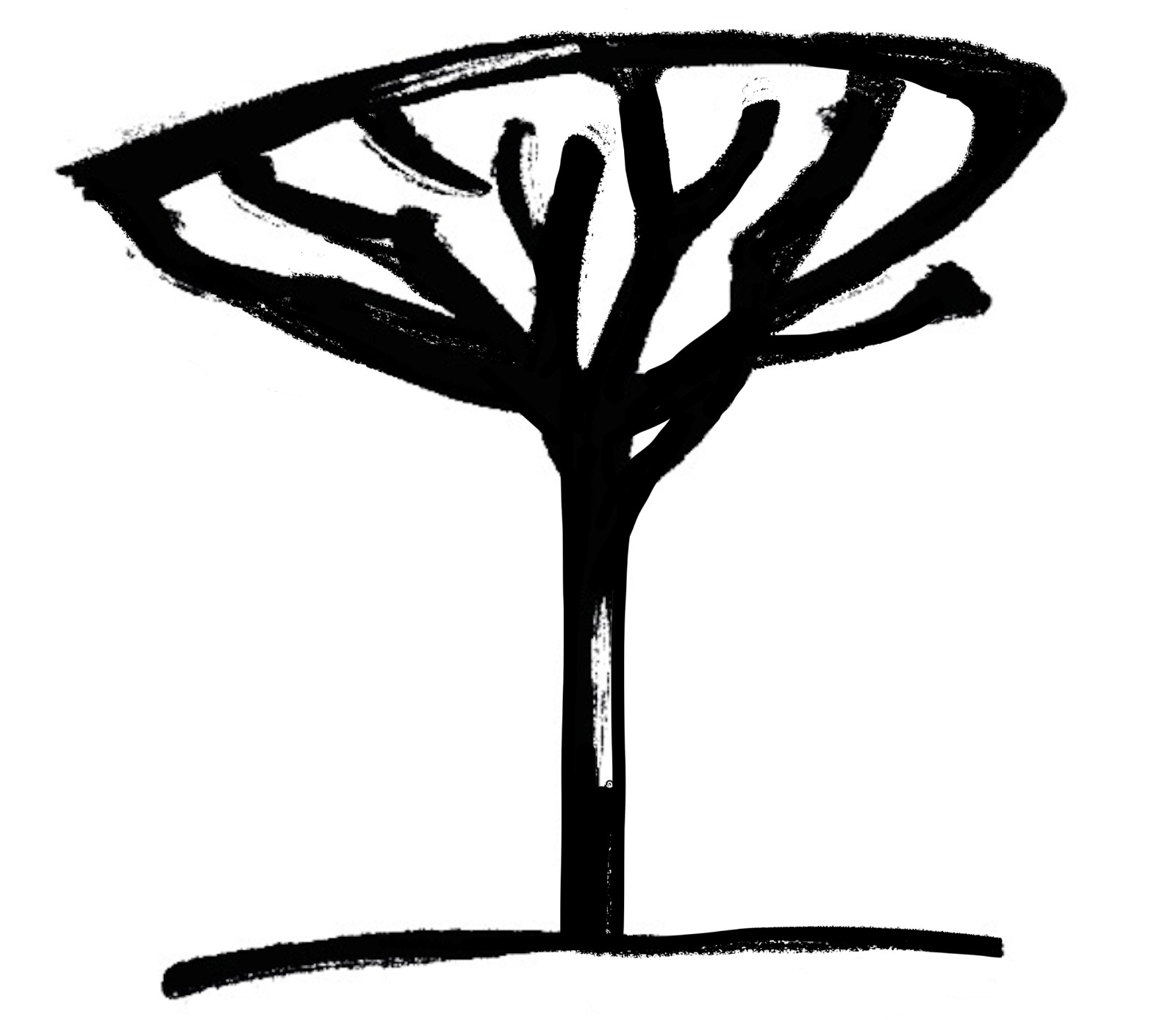 PINO MANSO GRUPO INMOBILIARIO, SLU