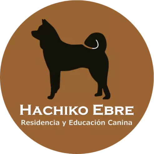 centrocaninoebre-hachikoebre