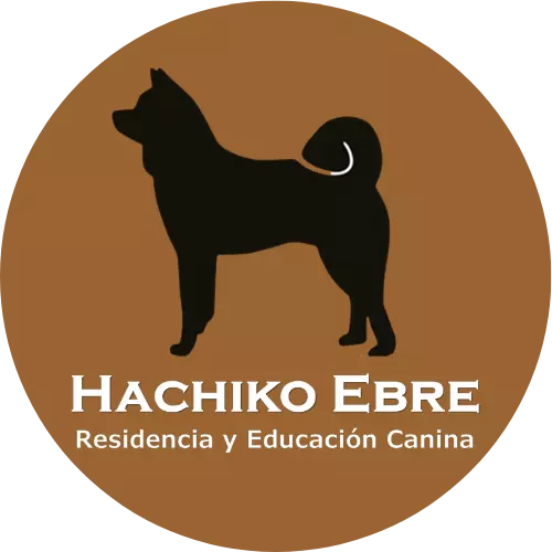 CENTRO CANINO HACHIKO EBRE
