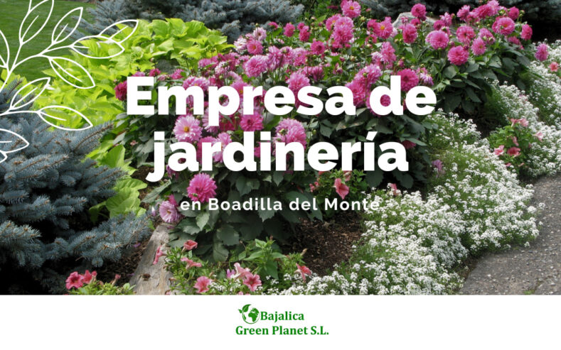 Empresa-de-jardineria-en-Boadilla