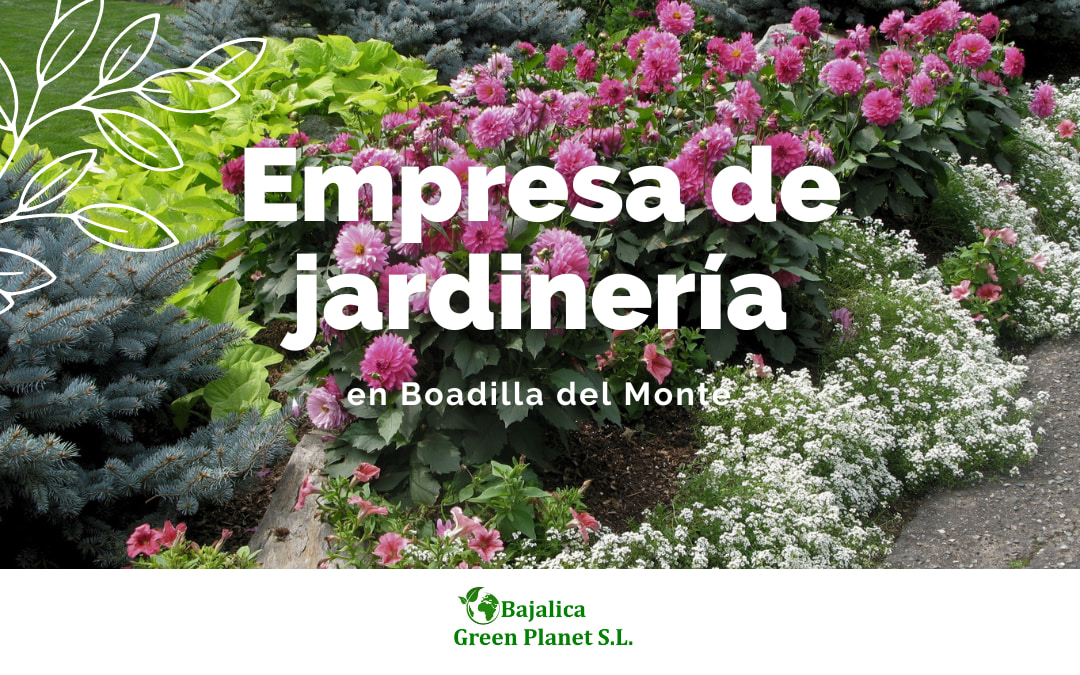 Poda y tala de árboles en Madrid – Empresa de jardinería | BAJALICA