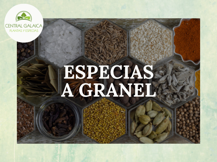 Venta de plantas aromáticas y especias a granel – Central Galaica