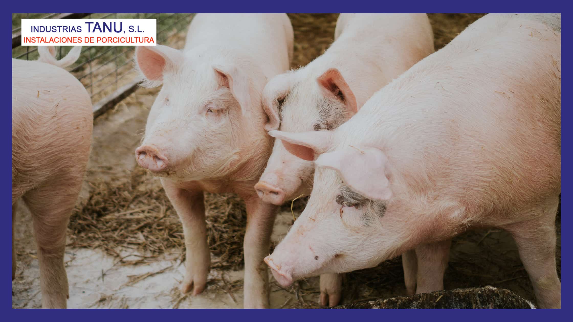 Material ganadero porcino | Industrias TANU