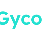 Gycoosa: Gestión y Control de Obras Osa