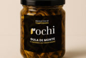 Rochi