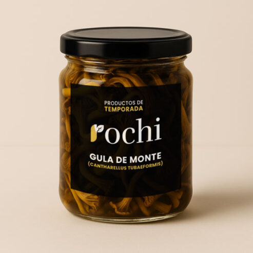 Rochi