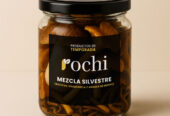 Rochi