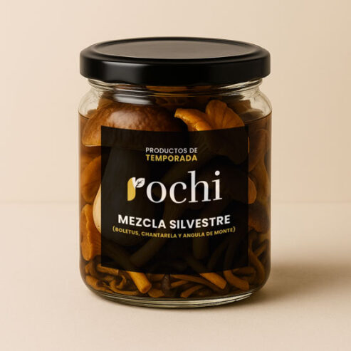 Rochi