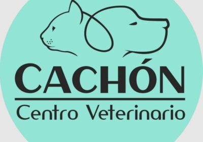 Captura-de-pantalla-2025-11-18-140358