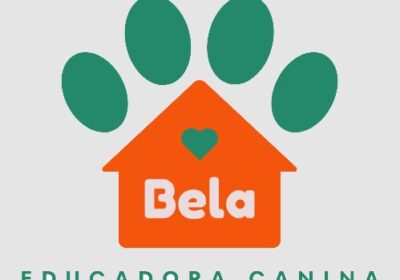 Captura-de-pantalla-2026-02-03-104515