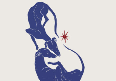 Caer-al-cielo-patricia-conor