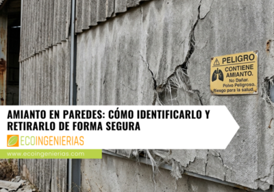 ecoingenierias-business-12