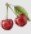 cherryslogo