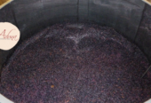 Viñedo Heredad de Aduna