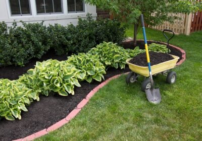 mantenimiento-jardines