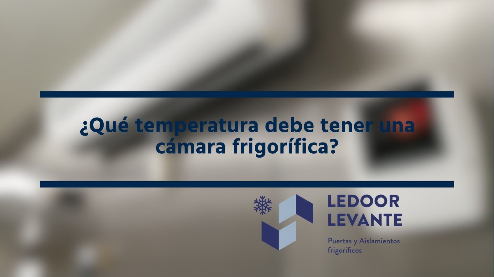 Ledoor Levante: Especialistas en cámaras frigoríficas en Valencia y Levante